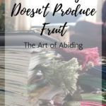 When Busy Doesn’t Produce Fruit | The Art of Abiding